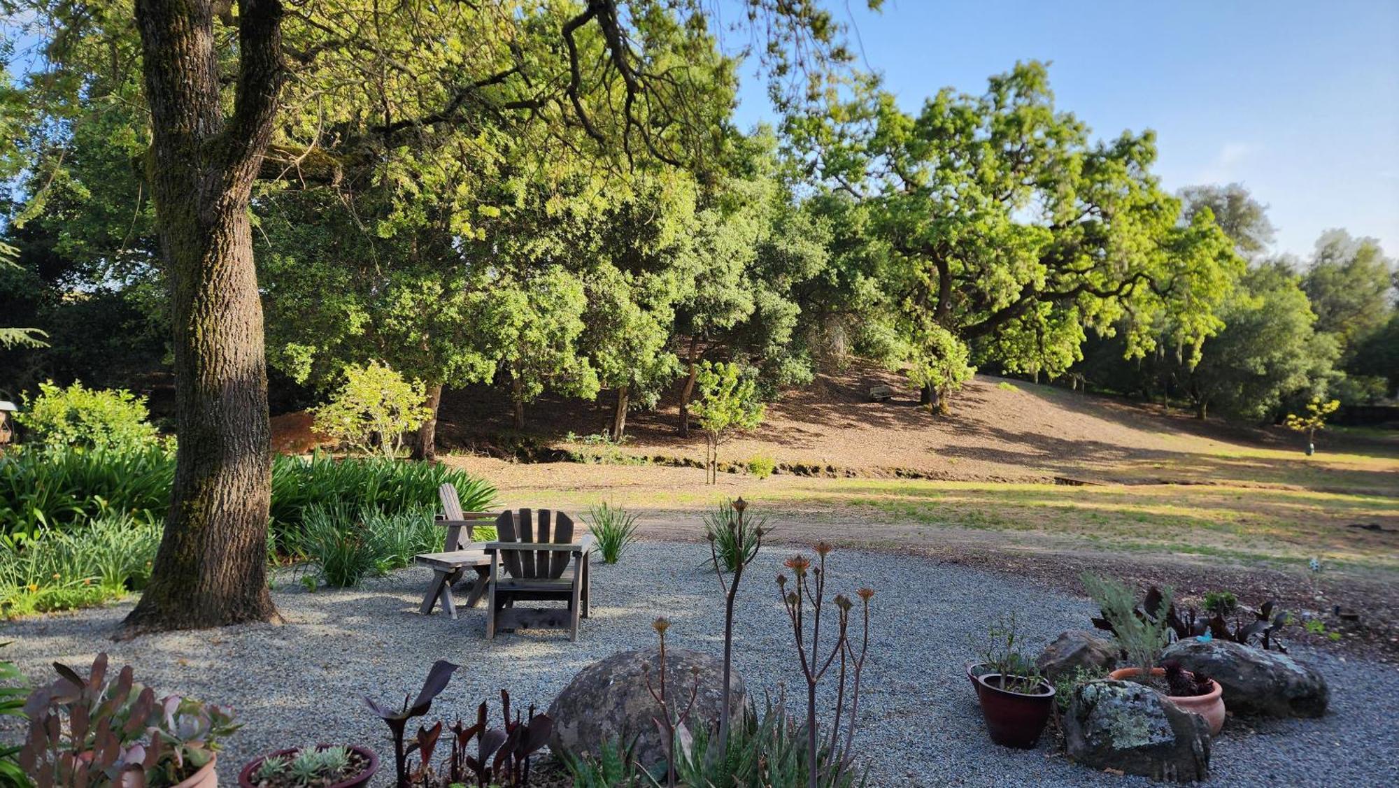 Amitabha Wine Country Cottage Санта-Роза Екстер'єр фото